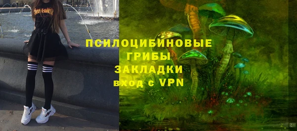 не бодяженный Корсаков