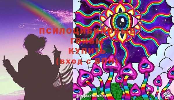 меф Санкт-Петербург