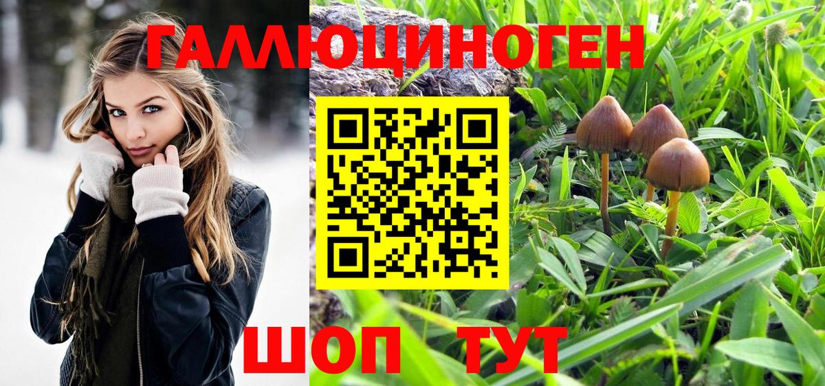 Псилоцибиновые грибы Psilocybine cubensis Саки